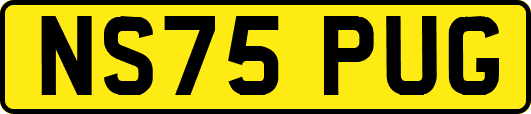 NS75PUG