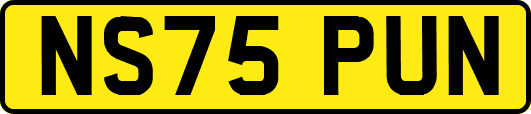 NS75PUN