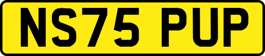 NS75PUP