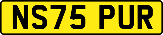 NS75PUR