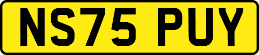 NS75PUY