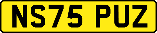 NS75PUZ