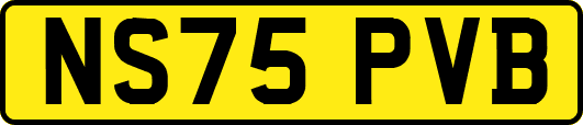 NS75PVB