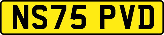 NS75PVD