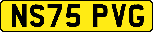 NS75PVG