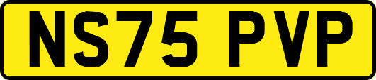 NS75PVP