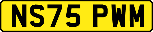 NS75PWM