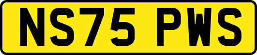 NS75PWS