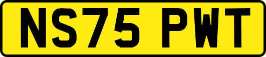 NS75PWT