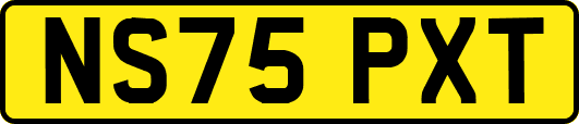 NS75PXT