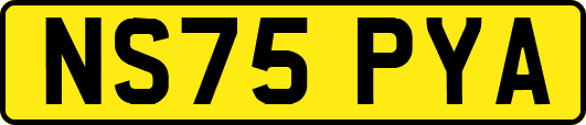NS75PYA