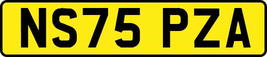 NS75PZA