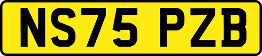 NS75PZB