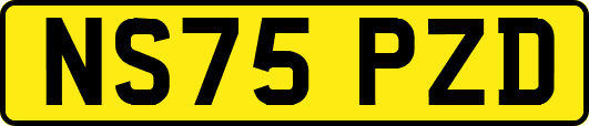 NS75PZD
