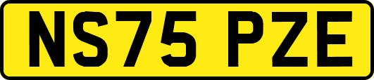 NS75PZE