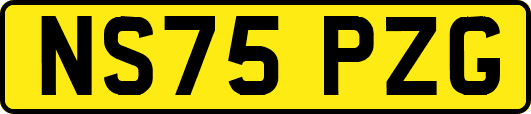 NS75PZG