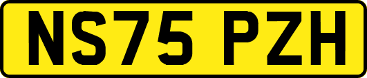 NS75PZH