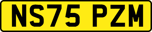 NS75PZM