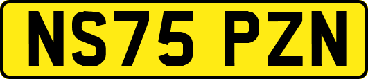 NS75PZN