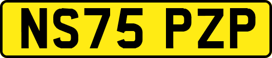 NS75PZP