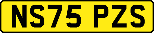 NS75PZS