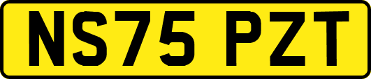 NS75PZT