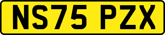 NS75PZX