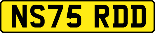 NS75RDD