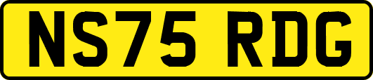 NS75RDG