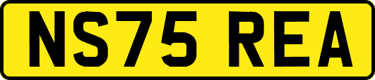 NS75REA