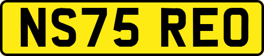 NS75REO