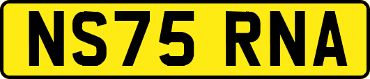 NS75RNA