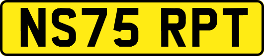 NS75RPT
