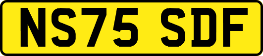 NS75SDF