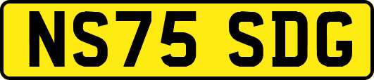 NS75SDG