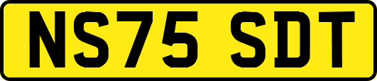 NS75SDT