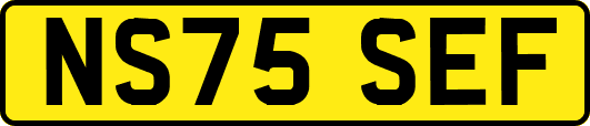 NS75SEF