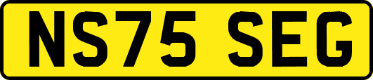 NS75SEG