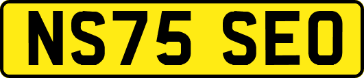 NS75SEO