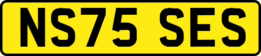 NS75SES