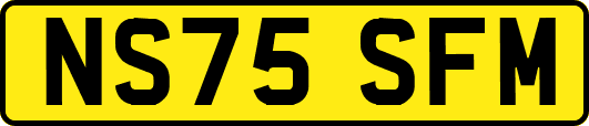 NS75SFM