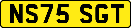 NS75SGT
