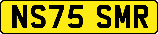NS75SMR