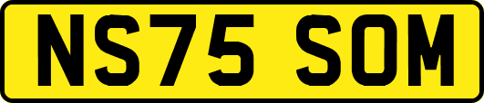 NS75SOM