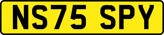 NS75SPY