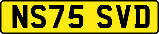 NS75SVD