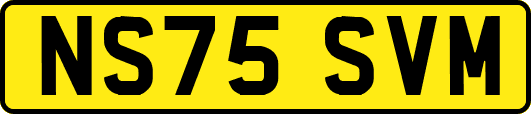 NS75SVM