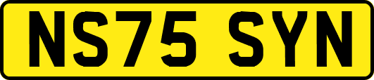 NS75SYN