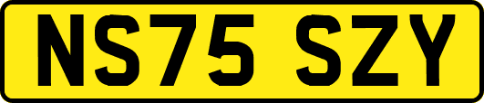 NS75SZY
