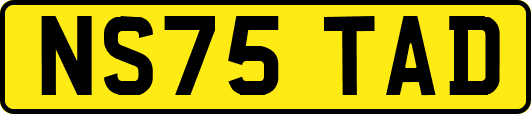 NS75TAD